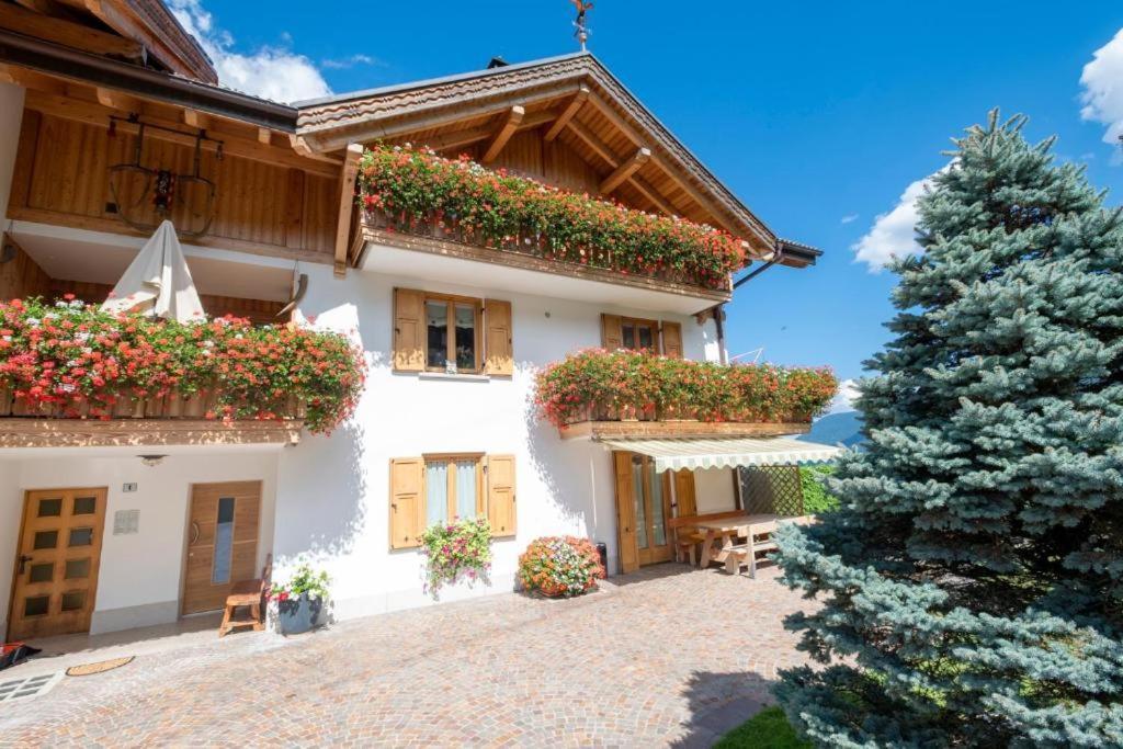 Appartamento Mansarda Patrizia E Franco Val Di Sole Commezzadura Exterior photo