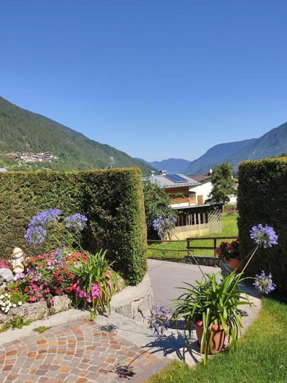 Appartamento Mansarda Patrizia E Franco Val Di Sole Commezzadura Exterior photo